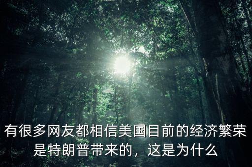 美國經(jīng)濟(jì)繁榮的原因是什么,是因為經(jīng)濟(jì)繁榮嗎