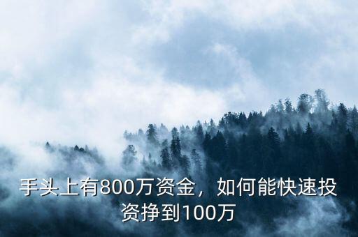 手頭上有800萬(wàn)資金，如何能快速投資掙到100萬(wàn)