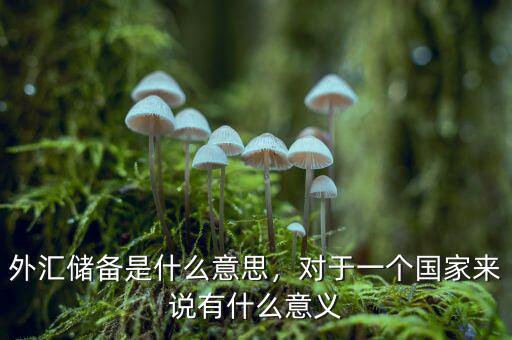 外匯儲(chǔ)備是什么意思，對(duì)于一個(gè)國(guó)家來說有什么意義