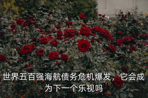 世界五百?gòu)?qiáng)海航債務(wù)危機(jī)爆發(fā)，它會(huì)成為下一個(gè)樂視嗎