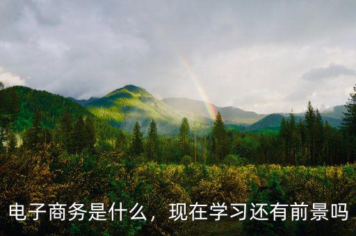電子商務(wù)是什么，現(xiàn)在學(xué)習(xí)還有前景嗎