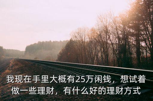 我現(xiàn)在手里大概有25萬閑錢，想試著做一些理財(cái)，有什么好的理財(cái)方式