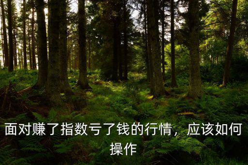 面對賺了指數(shù)虧了錢的行情，應該如何操作