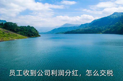 員工收到公司利潤分紅，怎么交稅