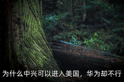 為什么中興可以進(jìn)入美國，華為卻不行