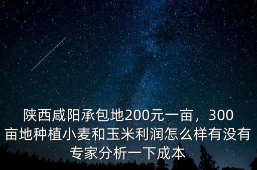 陜西咸陽承包地200元一畝，300畝地種植小麥和玉米利潤怎么樣有沒有專家分析一下成本