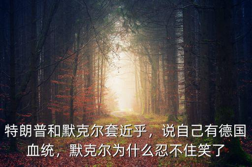 特朗普和默克爾套近乎，說(shuō)自己有德國(guó)血統(tǒng)，默克爾為什么忍不住笑了