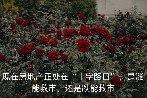 現(xiàn)在房地產(chǎn)正處在“十字路口”，是漲能救市，還是跌能救市