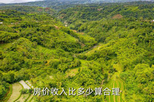 廣州房價(jià)收入比怎么算,房價(jià)收入比多少算合理