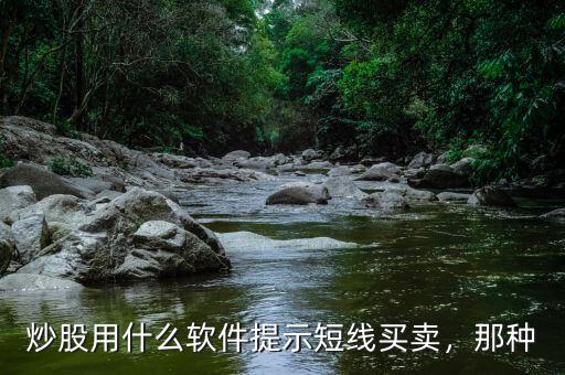 炒股用什么軟件提示短線買賣，那種