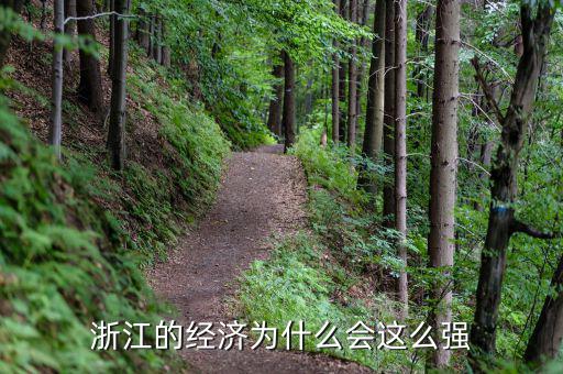 浙江的經(jīng)濟(jì)為什么會這么強