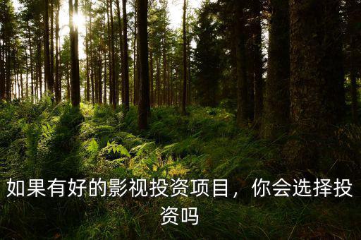 如果有好的影視投資項(xiàng)目，你會(huì)選擇投資嗎