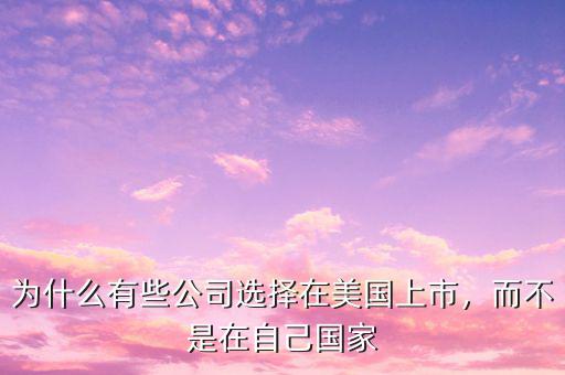 為什么有些公司選擇在美國上市，而不是在自己國家