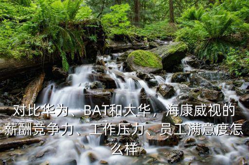 桐廬?？低曉趺礃?員工滿意度怎么樣