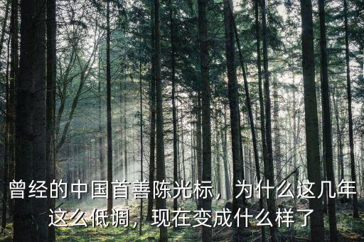 曾經(jīng)的中國首善陳光標，為什么這幾年這么低調(diào)，現(xiàn)在變成什么樣了