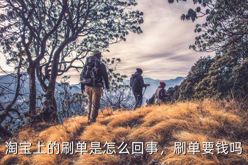 淘寶上的刷單是怎么回事，刷單要錢(qián)嗎