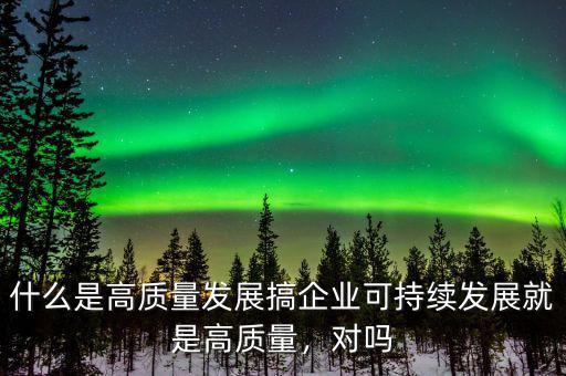什么是高質(zhì)量發(fā)展搞企業(yè)可持續(xù)發(fā)展就是高質(zhì)量，對嗎