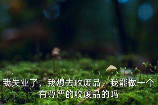 我失業(yè)了，我想去收廢品，我能做一個有尊嚴的收廢品的嗎