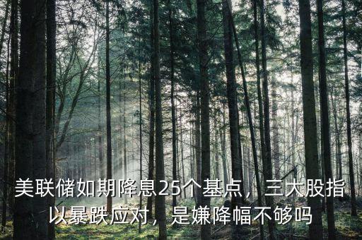 美聯儲如期降息25個基點，三大股指以暴跌應對，是嫌降幅不夠嗎