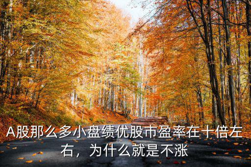 A股那么多小盤(pán)績(jī)優(yōu)股市盈率在十倍左右，為什么就是不漲