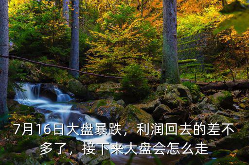 7月16日大盤暴跌，利潤回去的差不多了，接下來大盤會怎么走