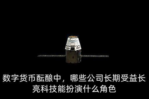 數(shù)字貨幣醞釀中，哪些公司長(zhǎng)期受益長(zhǎng)亮科技能扮演什么角色