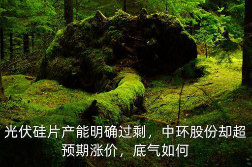 光伏硅片產(chǎn)能明確過剩，中環(huán)股份卻超預(yù)期漲價，底氣如何