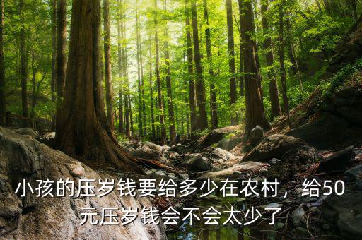 小孩的壓歲錢(qián)要給多少在農(nóng)村，給50元壓歲錢(qián)會(huì)不會(huì)太少了