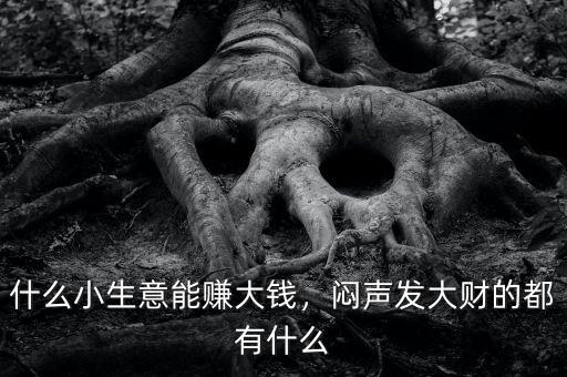 什么小生意能賺大錢，悶聲發(fā)大財?shù)亩加惺裁? class=