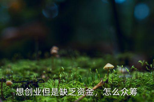 想創(chuàng)業(yè)但是缺乏資金，怎么眾籌