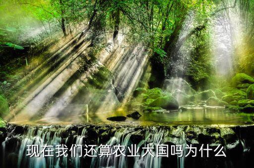 我國(guó)為什么稱農(nóng)業(yè)大國(guó),為什么農(nóng)村的撂荒地越來(lái)越多