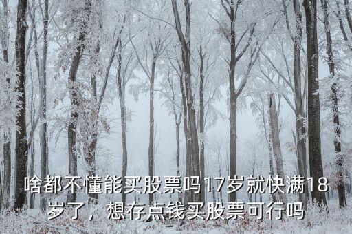 啥都不懂能買(mǎi)股票嗎17歲就快滿(mǎn)18歲了，想存點(diǎn)錢(qián)買(mǎi)股票可行嗎