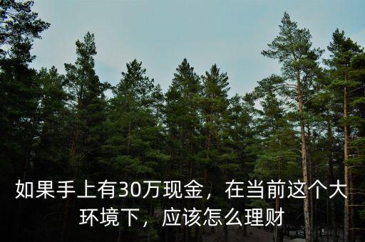 如果手上有30萬現(xiàn)金，在當(dāng)前這個(gè)大環(huán)境下，應(yīng)該怎么理財(cái)