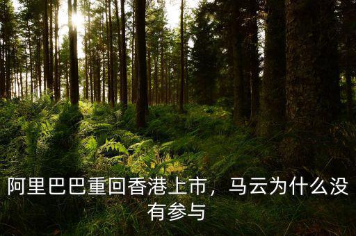 阿里巴巴重回香港上市，馬云為什么沒有參與