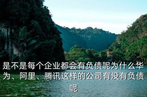 是不是每個企業(yè)都會有負債呢為什么華為、阿里、騰訊這樣的公司有沒有負債呢
