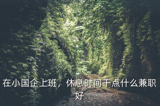 在小國企上班，休息時間干點(diǎn)什么兼職好