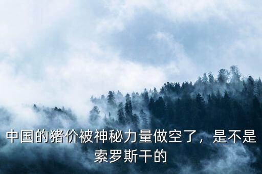 中國的豬價(jià)被神秘力量做空了，是不是索羅斯干的