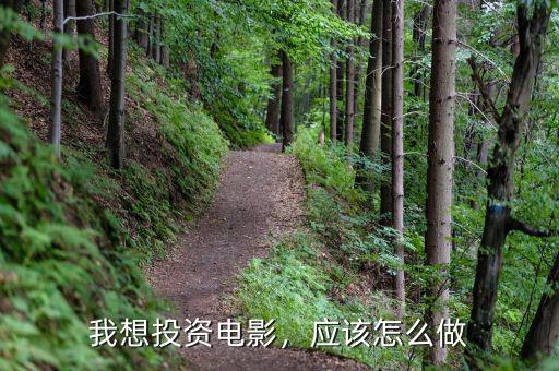 我想投資電影，應(yīng)該怎么做