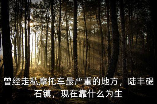 曾經(jīng)走私摩托車最嚴(yán)重的地方，陸豐碣石鎮(zhèn)，現(xiàn)在靠什么為生