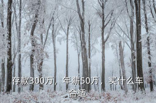 存款300萬，年薪50萬，買什么車合適