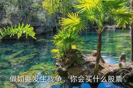 加拿大買(mǎi)什么股票好,那里有什么值得買(mǎi)的呢