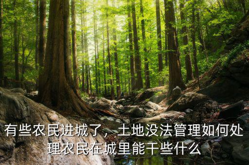 有些農(nóng)民進城了，土地沒法管理如何處理農(nóng)民在城里能干些什么