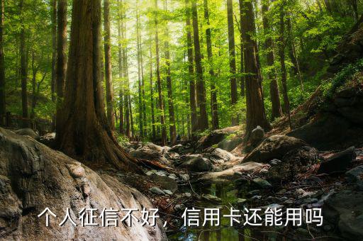 個人征信不好，信用卡還能用嗎