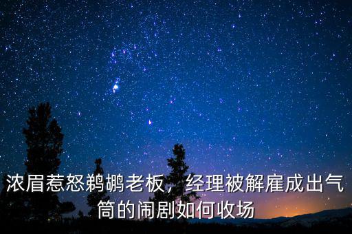 濃眉惹怒鵜鶘老板，經(jīng)理被解雇成出氣筒的鬧劇如何收場