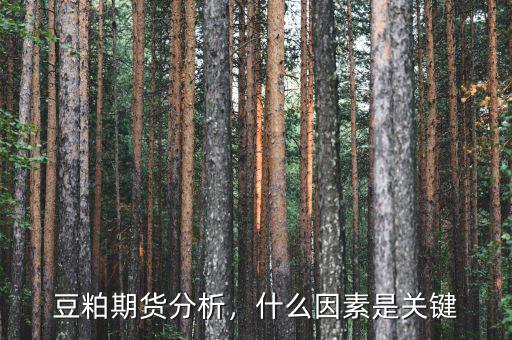 豆粕期貨分析，什么因素是關鍵