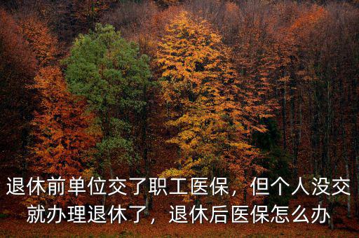 退休前單位交了職工醫(yī)保，但個(gè)人沒(méi)交就辦理退休了，退休后醫(yī)保怎么辦