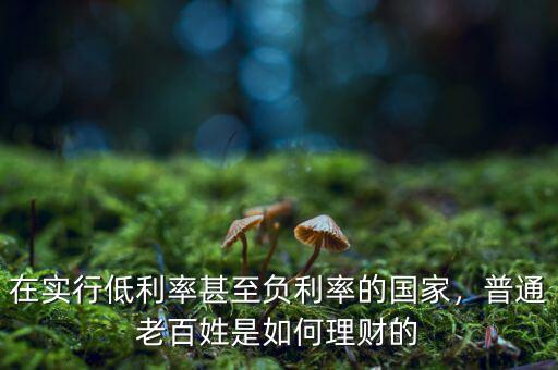 在實行低利率甚至負利率的國家，普通老百姓是如何理財?shù)? class=