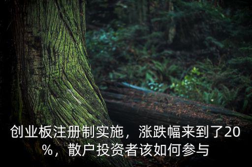 創(chuàng)業(yè)板注冊制實施，漲跌幅來到了20%，散戶投資者該如何參與