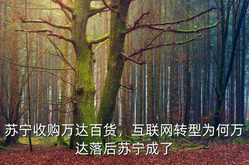 蘇寧收購萬達(dá)百貨，互聯(lián)網(wǎng)轉(zhuǎn)型為何萬達(dá)落后蘇寧成了