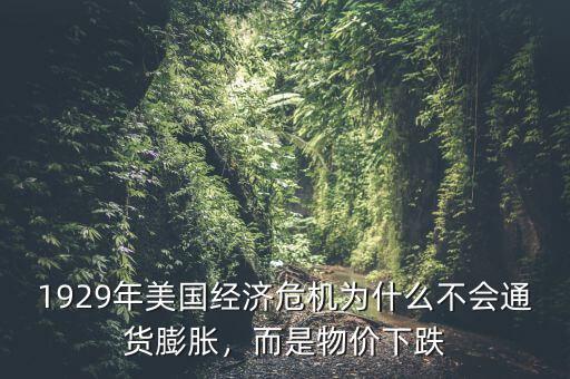 1929年美國(guó)經(jīng)濟(jì)危機(jī)為什么不會(huì)通貨膨脹，而是物價(jià)下跌